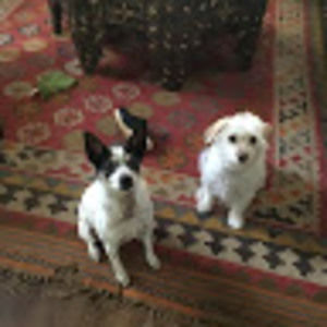 Meet your Posher, Brigitte